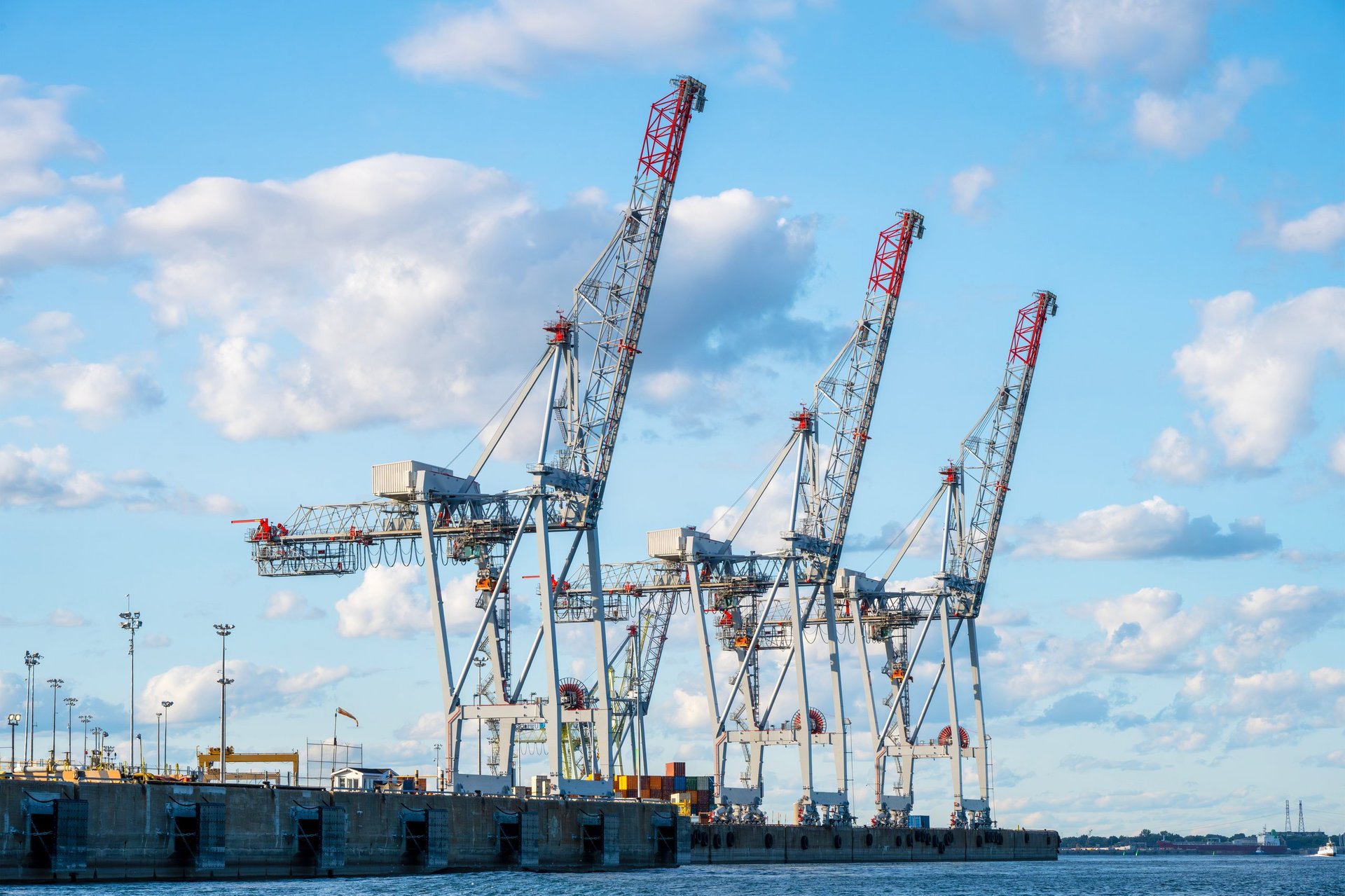 Port cranes handling cargo at a container and general cargo terminal