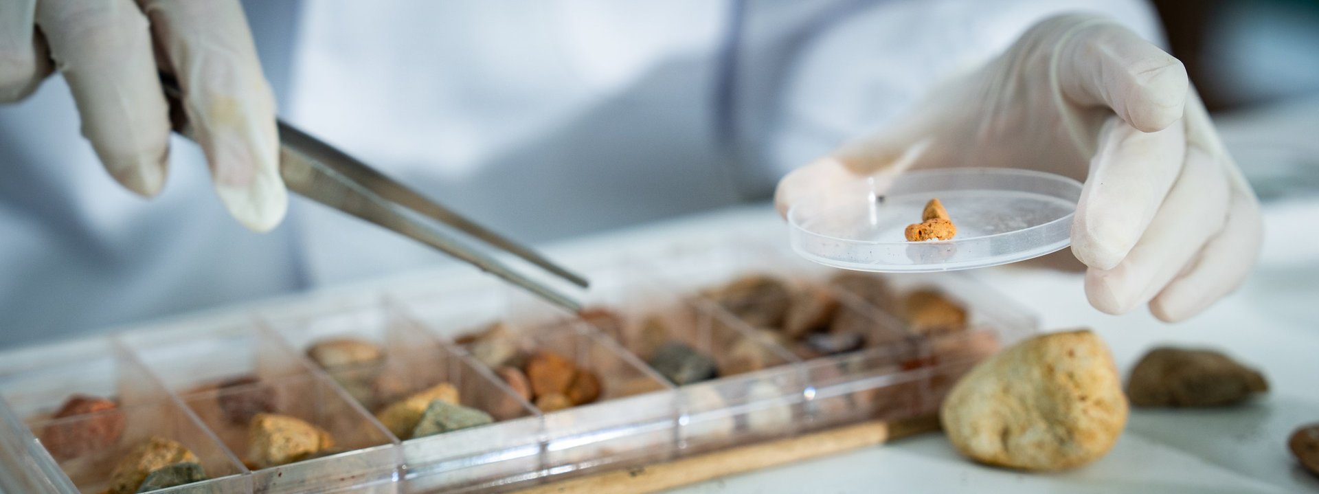 A gloved hand examining a mineral specimen in a tray, the step that establishes what a lot actually contains.