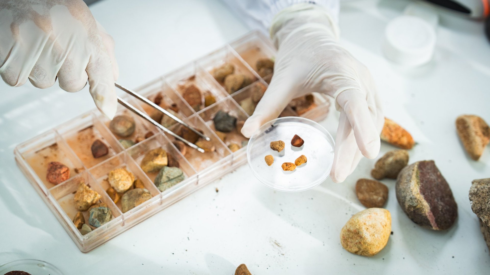Iron ore sample trays arranged side by side to compare natural, sized and prepared forms.